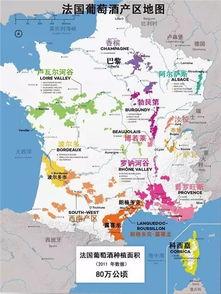 法国产区,探寻法国葡萄酒的瑰宝之地